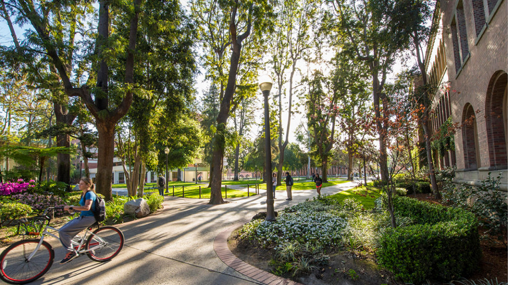 student cycling along tree lined path